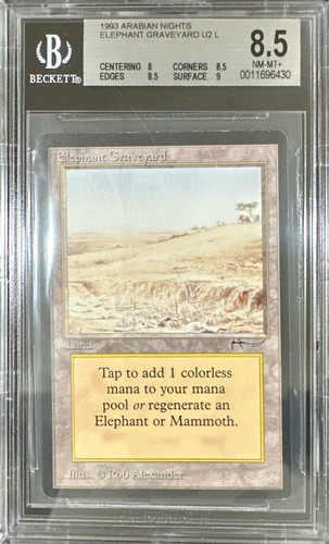 1993 MTG Arabian Nights Elephant Graveyard Magic the Gathering BGS 8.5 NearMint+