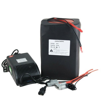 Lithium 48V 28Ah Ebike Battery 1000W Pack High Power Charger Ebike Ion Battery