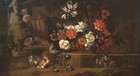 Foto 2 di 12