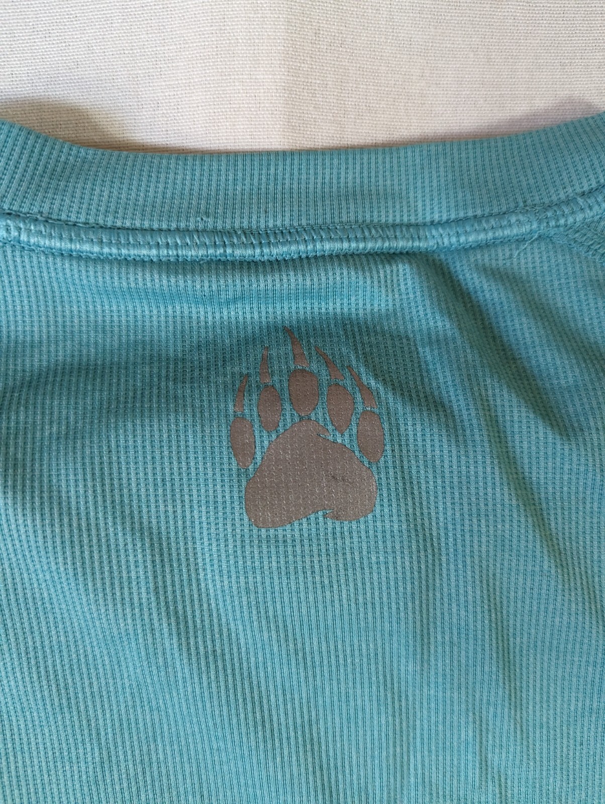 Foto 10 di 11