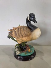 FHR52 - Canada Goose Poly Figure – Unmarked Wildlife Collectible