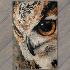 Art Print Owl Face Macro Sharp Beak Amber Eyes Feathers Wild Beauty