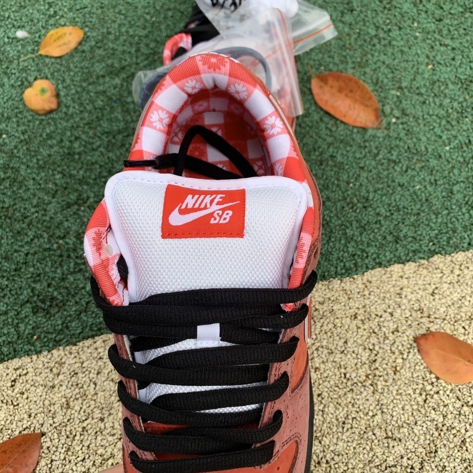 313170-661 Nike Dunk Low Concepts lagosta vermelha 2008  - Imagem 3 de 4