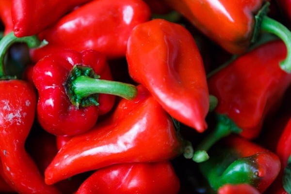 30 Semillas Pimientos Pikillo FRESCAS