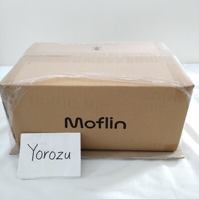 1 Tag Versand Casio AI Pet Moflin Kommunikationsroboter Gold PE-M10GD AC100V Neu