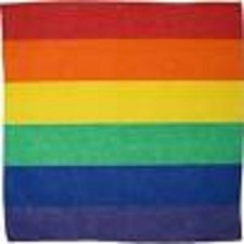 Gay Pride Rainbow Stripes Bandanna Face Mask,Head Wrap,Scarf,Wristband-New
