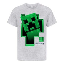Minecraft Boys Creeper Inside T-Shirt  NS5409