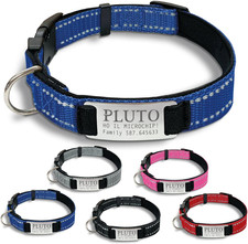 Collare Cane Personalizzato - Collare Cane Personalizzabile Con Targhetta in Met