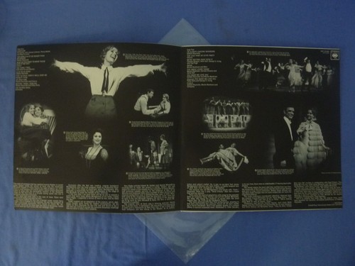 Debbie Reynolds in Irene 12" Vinyl LP G/fold 1973 CBS Aus SBP 234364 - Picture 3 of 9