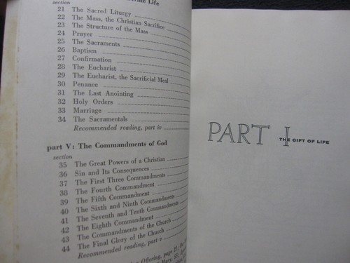Life in Christ Instructions in the Catholic Faith Killgallon, James J - Picture 6 of 7
