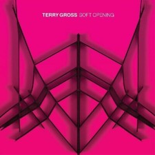 Soft Opening by Gross, Terry (Record, 2021)