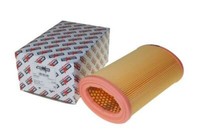 Automega Filtereinsatz Luftfilter FüR Peugeot 106 II CitroëN Saxo AX 180033410