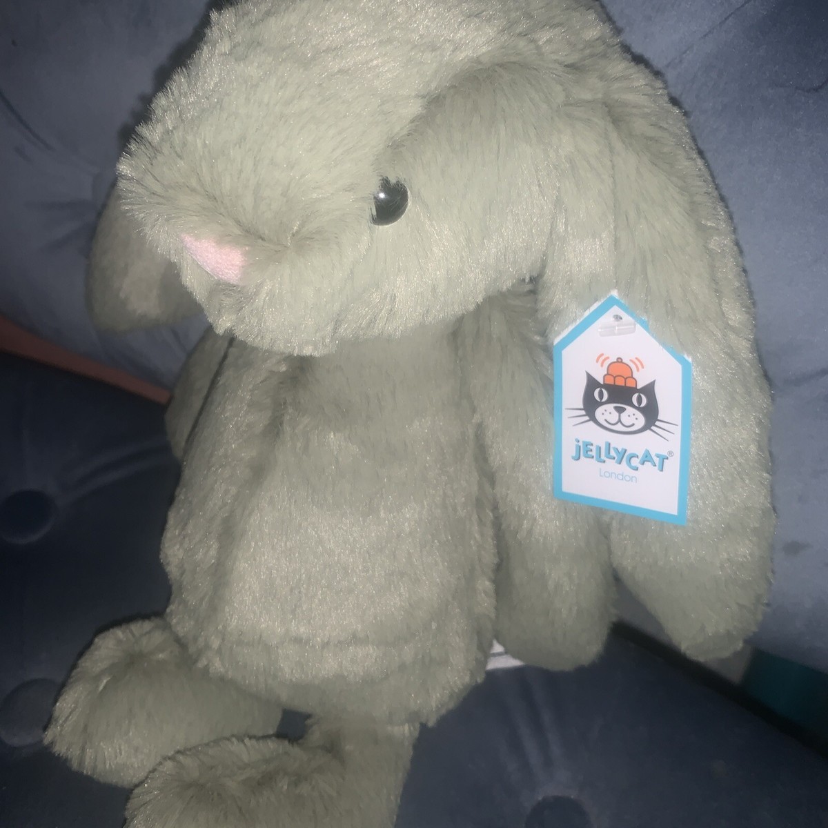 Jellycat Fern Medium Bunny 🐰 BNWT RETIRED 🌸🐰 Very Rare | eBay UK