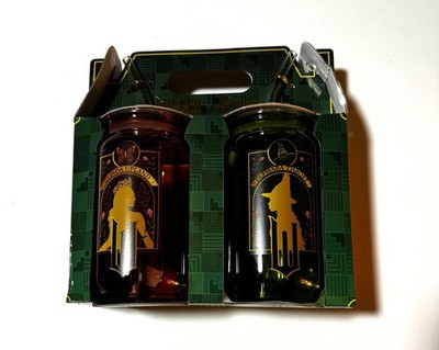 Wicked Dragon Glassware 2 Pack 16 oz Glinda Elphaba Glass with Straw Set - NEW