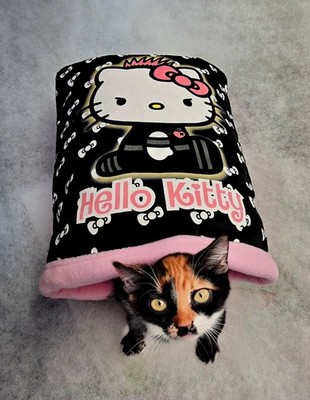 Hello Kitty Minnie Mouse Raiders Small Cat Rabbit Beds Fabric Fleece Multicolor