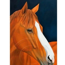 Justify Horse Portrait Signed Numbered Print Collectible Art Equine SFASTUDIO