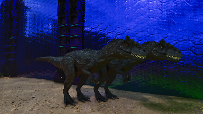 ark JS Series Dinky® Arch Top JS22Q-7 DKA HT – Jacksonguitars.com