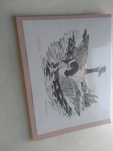 D. Standerwick Canada Geese Unframed Print New - 第 1/3 張圖片