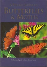 A Pocket Guide to Butterflies & Moths by Elizabeth Balmer