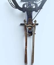 eBay Auction Picture