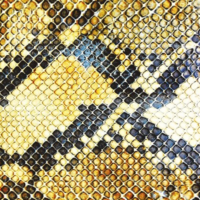 THE AMAZING SNAKEHEADS - AMPHETAMINE BALLADS  CD NEU