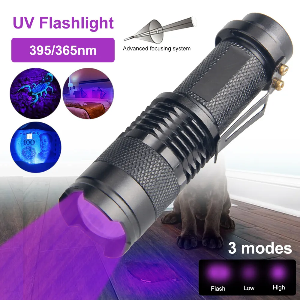 Linterna UV Luz Ultravioleta 395NM Zoom Detector Manchas Marcador De  Chequeo AA