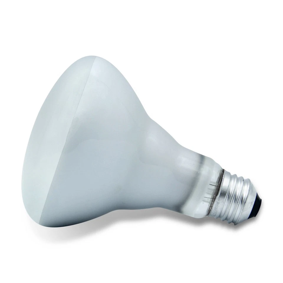 (6) Replacement Bulb for LIGHT BULB / LAMP 75R30/FL/RP 65W 120V - Image 2 of 4