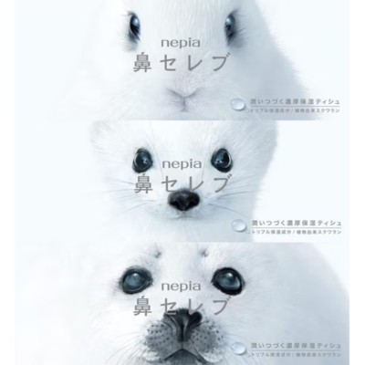 Nepia Hana Celebrity Soft Tissue, 3er Box Set, Neu, Made in Japan aus Osaka