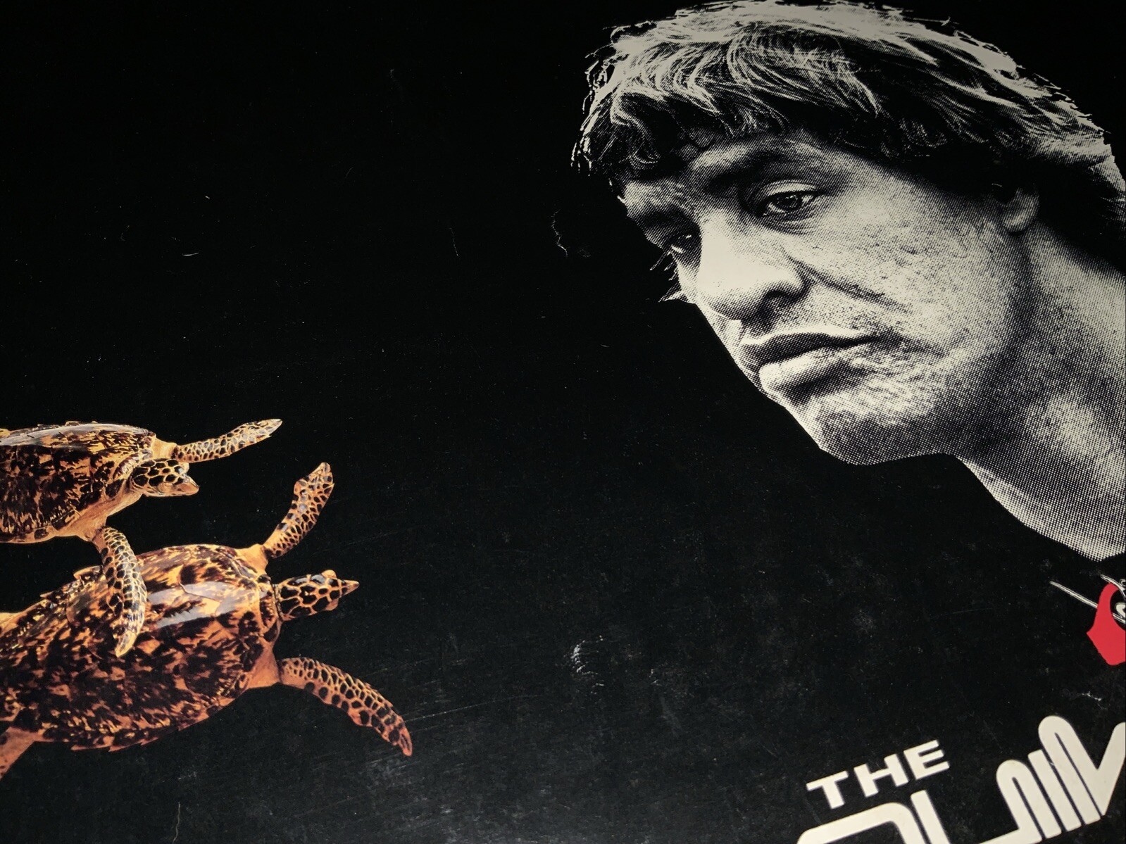 VINTAGE EDDIE AIKAU POSTER SURF QUIKSILVER 1990-91 WAIMEA BAY ORIGINAL RARE