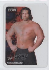 2006 Lamincards WWE English The Great Khali #089 2rz