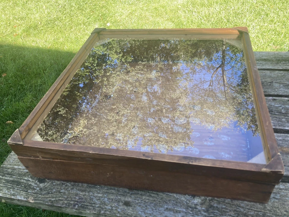 "Caja de exhibición/sombra vintage GRANDE de madera y vidrio 23""x23,5""x6""" Foto 2 de 4