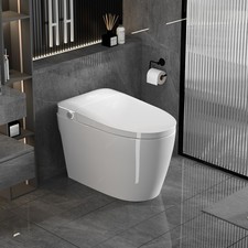 Smart Toilets with Heated Bidet Seat.Portable toilet bidet built.Intelligent