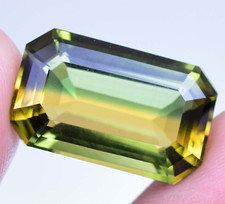 Natural Bi-Color Tourmaline 12.60 Ct Octagon Cut Rare Certified Loose Gemstone
