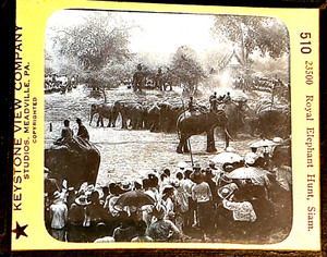 Vintage Magic Lantern Glass Slide Royal Elephant Hunt Siam