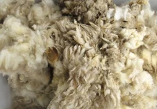 Sheep Wool Trapping Supplies Natural Lure Scent Holder