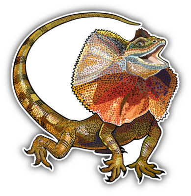 Frill Necked Lizard Art Decor Car Bumper Sticker  ''SIZES''