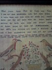 Bild 8 von 9