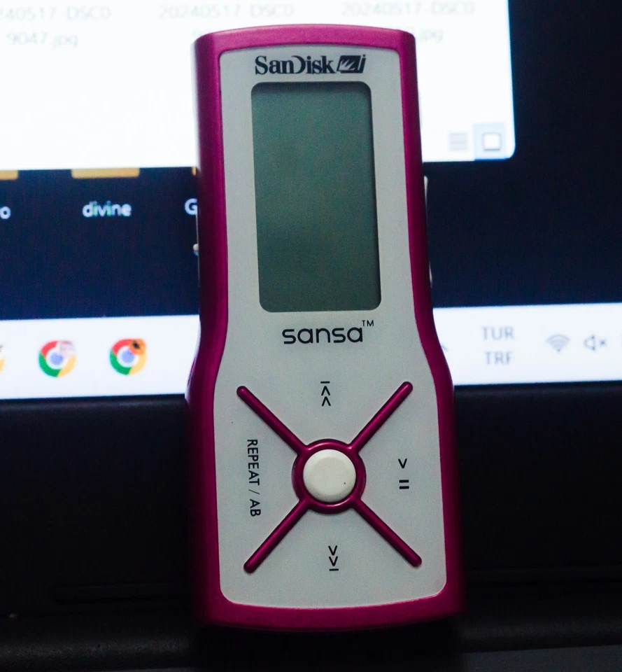 Reproductor de MP3 SanDisk Sansa m240 rosa (1 GB) - radio FM - grabadora - Imagen 4 de 4