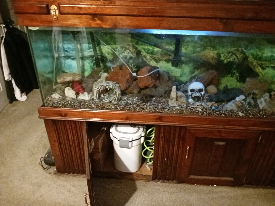 Filtros de tanque de 200 galones en la parte inferior y superior todo incluye 2000,00 Foto 3 de 3