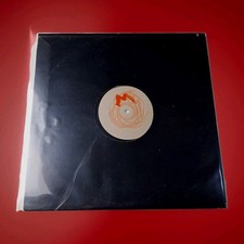 Vinyl Record Palefield Mountain - Superstar Baby - Filter Phase  Stress 1998 VG+