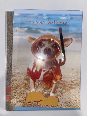 Papyrus Birthday Greeting Card - Chihuahua With Snorkeling Gear