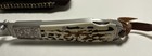 A.G. Russell Agent Knife, stag handle, engraved bolsters, wharncliffe blade, new — photo 6