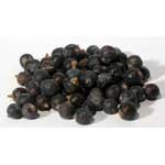 Juniper Berries whole 1oz (Juniperus communis)