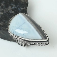  on The Hot Collector