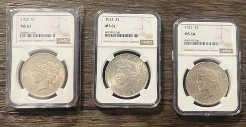 3 Graded Liberty Peace Dollars 1923 And 1925 MS61 And MS60!