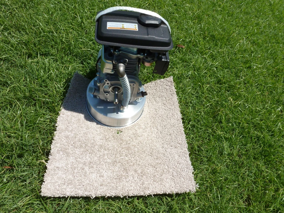 Control de roedores Foto 2 de 4