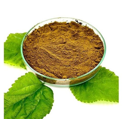 Mulberry Leaf Extract Powder 100% Organic Premium Quality Free & Fast Ship