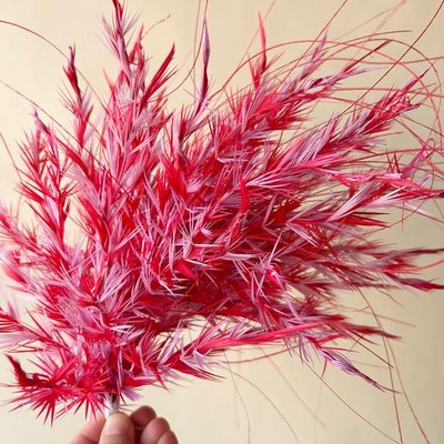 Farbe Customzied große Federn Millinery 2 Farben Baum Ast Fascinators 