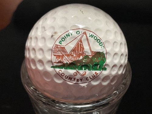 MICHIGAN P Q GOLFPLATZ: LOGOBÄLLE - Bild 17 von 64