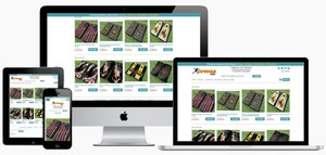 Turnkey Shopify Ecommerce Drop Ship Store Website Business Google - image is loading turnkey shopify ecommerce drop ship store website business